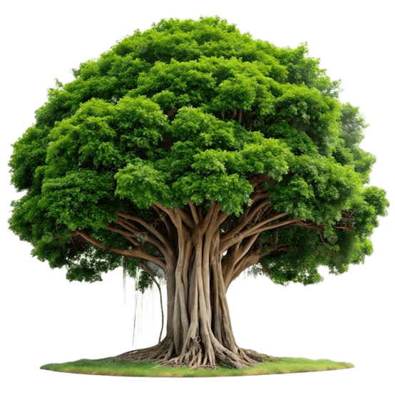 Group Ecosystem Tree